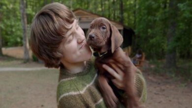 Scooby-Doo Origins Hadir di Netflix, Scooby Kini Anjing Sungguhan