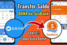 Dana Pinjaman SeaBank Langsung Masuk DANA, Cara Transfernya Ternyata Sangat Mudah