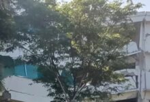 Gempa 8,1 Lumpuhkan Mindanao, Warga Bertahan Tanpa Listrik dan Sinyal