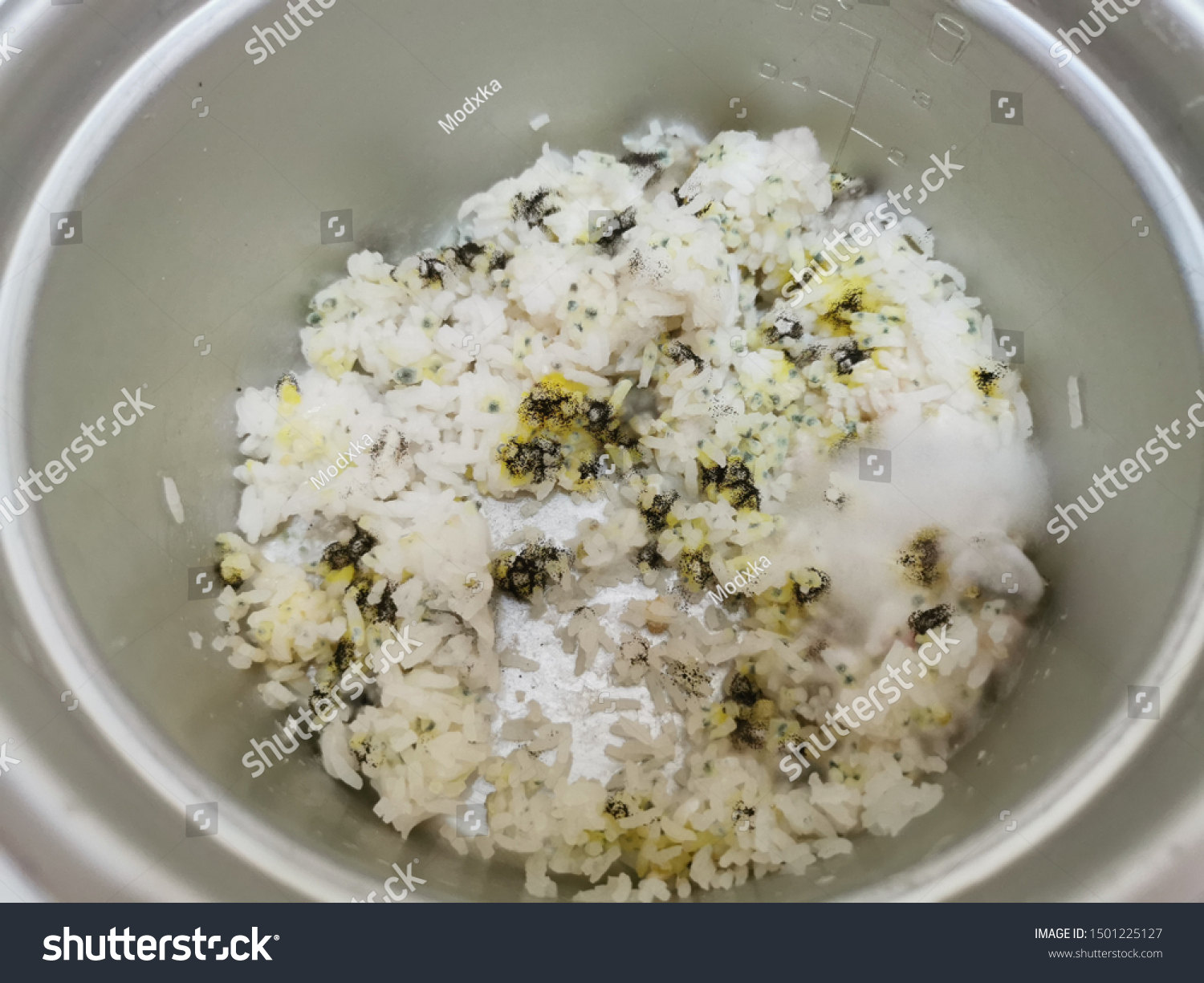 4 Kebiasaan Kecil Ini Bikin Nasi Cepat Basi Di Rice Cooker, Banyak Yang Tak Sadar