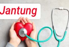 Perut Buncit Bukan Sekadar Lemak, Pintu Masuk Sindrom Kardiovaskular Ginjal Metabolik