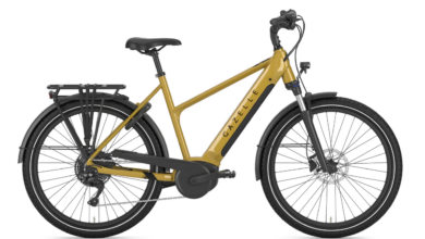 Gazelle Punya Dua E-Bike Premium Baru, Tenaga Bosch-Nya Bisa Dinaikkan Lewat Aplikasi