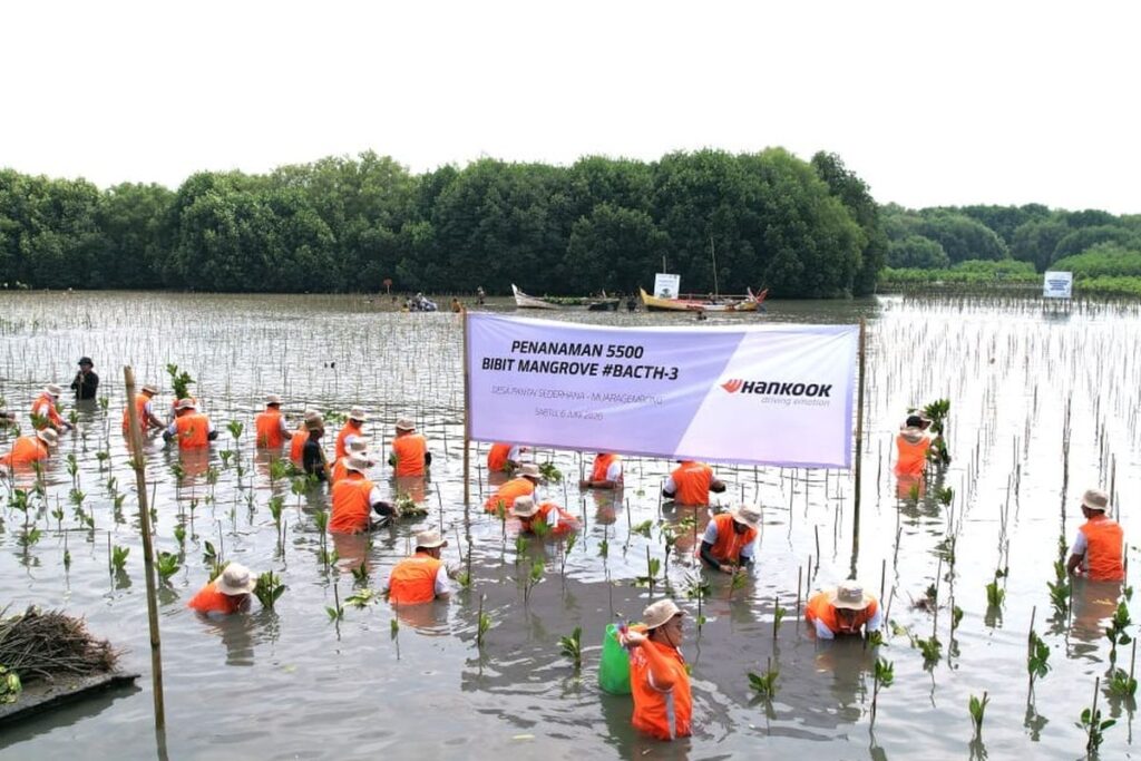 Perusahaan Ban Ini Tak Cuma Jual Produk, 13.000 Mangrove Ditanam untuk Menahan Abrasi Bekasi