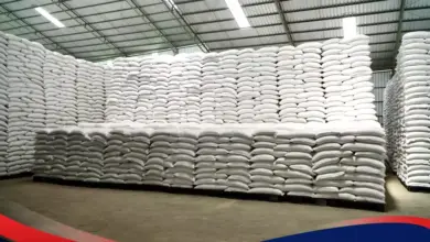 Stok Beras Tembus 5,33 Juta Ton, Rekor Baru Saat Ketahanan Pangan Diuji