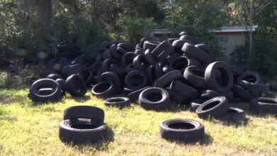 Ribuan Ban Muncul Di Lahan Baru Ini, Pemiliknya Terjebak Dalam Bencana Tak Terduga