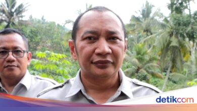 Jatim Bersiap Hadapi El Nino, BPBD Waspadai Kekeringan yang Meluas dan Karhutla