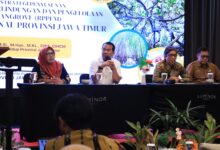 Jawa Timur Mempercepat RPPEM Provinsi, Benteng Baru untuk Mangrove dari Abrasi dan Alih Fungsi Lahan