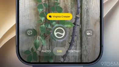 Siri Kini Masuk Kamera iPhone, Bisa Kenali Objek hingga Hitung Patungan dari Sekali Arahkan
