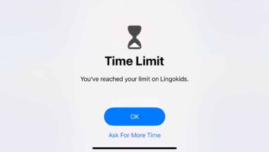 Time Allowance di iPhone Ubah Cara Orang Tua Mengontrol Anak, Ini yang Perlu Dipahami
