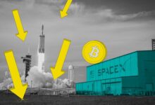 SpaceX Bukan Biang Kerok, Bitcoin Anjlok Karena ETF, Leverage, dan Tekanan Makro