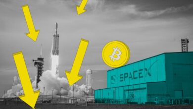 SpaceX Bukan Biang Kerok, Bitcoin Anjlok Karena ETF, Leverage, dan Tekanan Makro