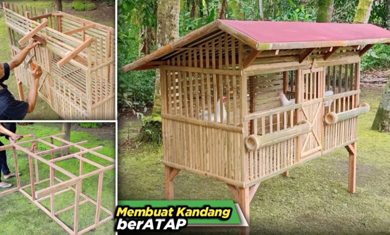 Salah Desain Sejak Awal, Kandang Ayam Rumahan Bisa Bau Terus meski Rajin Dibersihkan
