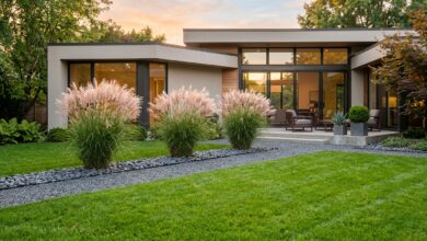 6 Tanaman Minimalis Outdoor, Bikin Rumah Modern Terlihat Rapi Tanpa Ribet