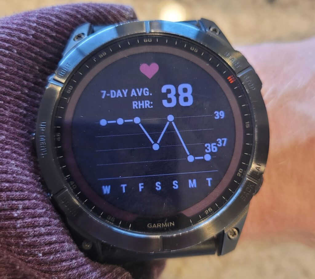 Garmin Fenix Kini Bisa Lacak Alkohol, Aplikasi Ini Baca Kebiasaan Minum di Pergelangan Tangan