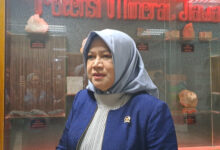 Rini Widyantini Buka Jalan PPPK Paruh Waktu Naik Status, Pemda Minim Anggaran Ikut Terbantu