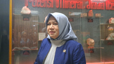 Rini Widyantini Buka Jalan PPPK Paruh Waktu Naik Status, Pemda Minim Anggaran Ikut Terbantu