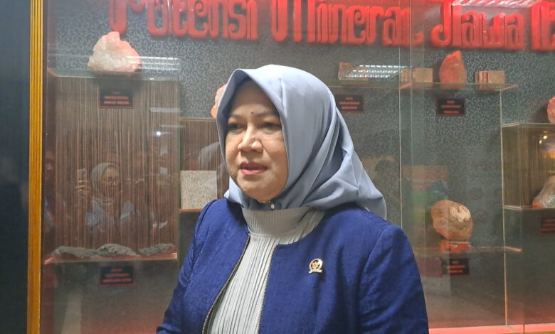 Rini Widyantini Buka Jalan PPPK Paruh Waktu Naik Status, Pemda Minim Anggaran Ikut Terbantu