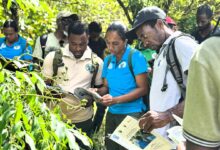 Kemenhut Salurkan Bantuan Alat ke Tujuh KUPS di Jawa Timur, Dorong Ekonomi Hutan Sosial