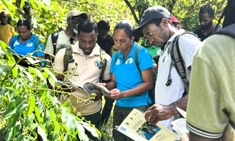 Kemenhut Salurkan Bantuan Alat ke Tujuh KUPS di Jawa Timur, Dorong Ekonomi Hutan Sosial