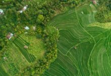 Konservasi Atau Pertumbuhan Ekonomi? Temuan Ini Membalik Cara Kita Melihat Lahan