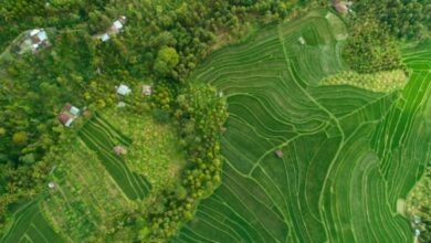 Konservasi Atau Pertumbuhan Ekonomi? Temuan Ini Membalik Cara Kita Melihat Lahan