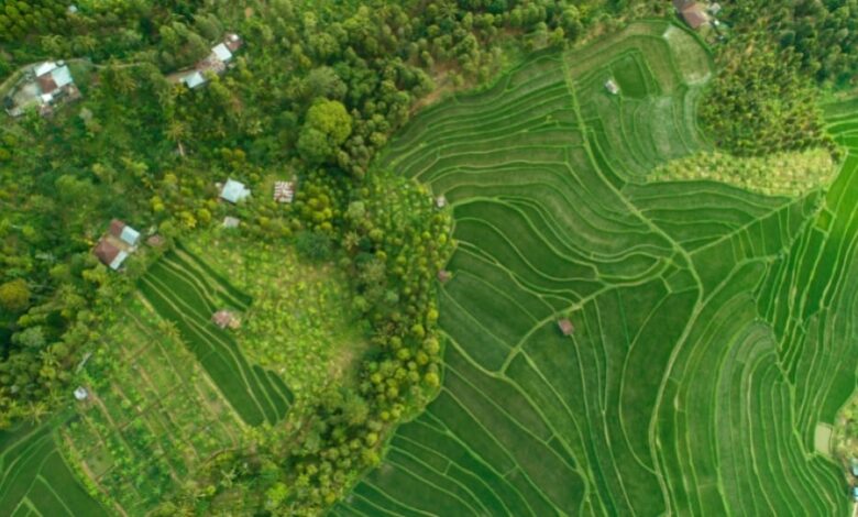 Konservasi Atau Pertumbuhan Ekonomi? Temuan Ini Membalik Cara Kita Melihat Lahan