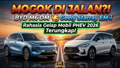 BYD M6 DM Mulai Rp 298 Juta, Jarak Harganya dengan Geely Starray EM-i Tembus Rp 100 Jutaan