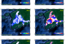 Kesaksian Rumphius Saat Tsunami 100 Meter Ambon 1674, Detik-Detik Seperti Kiamat