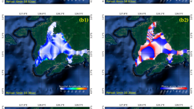 Kesaksian Rumphius Saat Tsunami 100 Meter Ambon 1674, Detik-Detik Seperti Kiamat