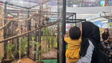 350 Satwa Gembira Loka Menyapa The Park Semarang, Libur Sekolah Jadi Kelas Konservasi di Tengah Mal