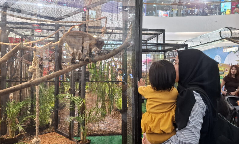 350 Satwa Gembira Loka Menyapa The Park Semarang, Libur Sekolah Jadi Kelas Konservasi di Tengah Mal