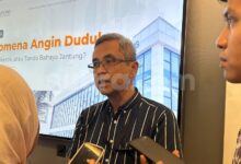 Dokter Bantah Mitos Obat Kolesterol dan Diabetes Merusak Ginjal, Ini Fakta di Baliknya