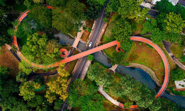 Jakarta Terasa Teduh dari Taman, Sehari Bersama Ayo ke Taman Membuka Celah yang Selama Ini Luput