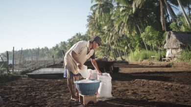Desa Les Menyatukan Wisata Dan Alam, Dari Garam Tradisional Hingga Terumbu Karang