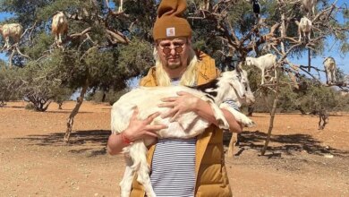 Oliver Tree, Dari Musisi Eksentrik ke Nama Yang Terseret Insiden Helikopter di Brasil