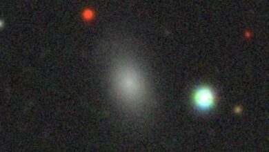 Awan Magellan Kecil Diduga Terbelah Dua, Gravitasi Awan Magellan Besar Jadi Pemicu