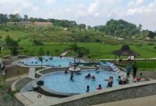 Libur Sekolah Di Sawah Bengkok Majalengka, Panorama Sawah yang Menenangkan Keluarga