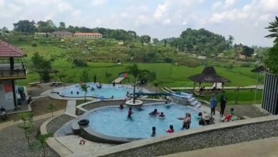 Libur Sekolah Di Sawah Bengkok Majalengka, Panorama Sawah yang Menenangkan Keluarga