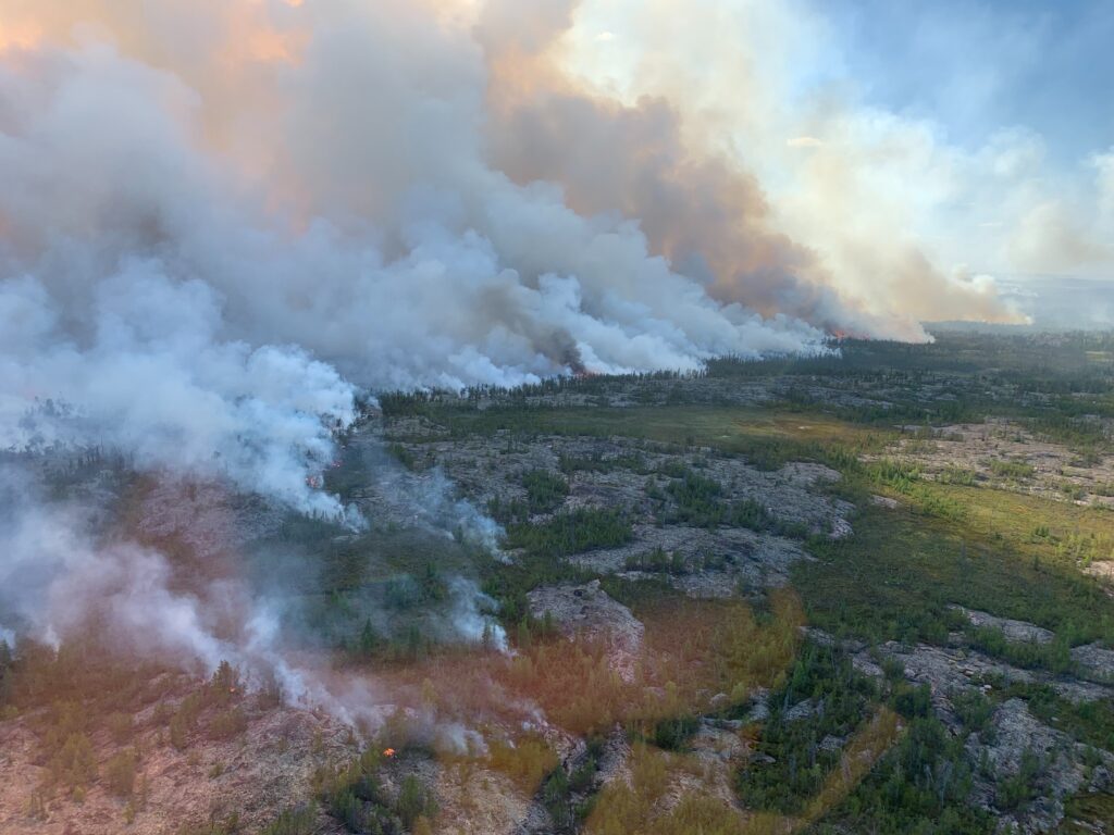 Karhutla Berulang Ancam Permafrost Utara, Ilmuwan Peringatkan Kerusakan Tak Bisa Dipulihkan