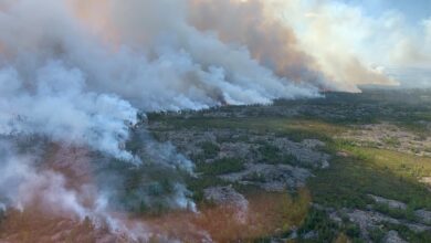 Karhutla Berulang Ancam Permafrost Utara, Ilmuwan Peringatkan Kerusakan Tak Bisa Dipulihkan