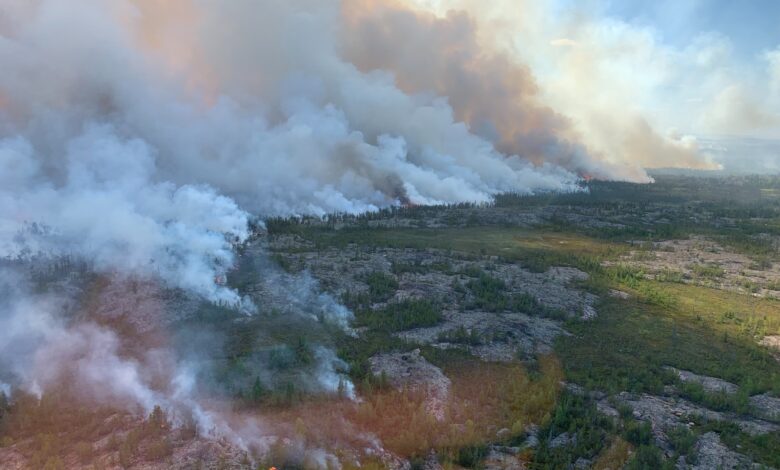 Karhutla Berulang Ancam Permafrost Utara, Ilmuwan Peringatkan Kerusakan Tak Bisa Dipulihkan