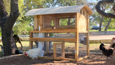 7 Model Kandang Ayam 1x2 dari Baja Ringan dan Atap PVC, Rapi di Lahan Sempit Tetap Nyaman untuk Ayam