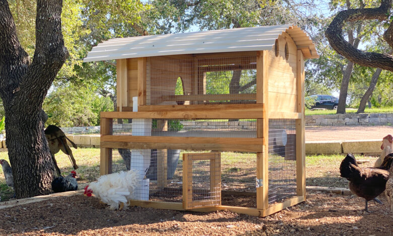 7 Model Kandang Ayam 1x2 dari Baja Ringan dan Atap PVC, Rapi di Lahan Sempit Tetap Nyaman untuk Ayam