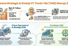 PT Timah Bagi 50% Laba Jadi Dividen, Sisa Dana Dipakai Kerek Produksi Smelter
