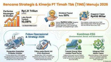 PT Timah Bagi 50% Laba Jadi Dividen, Sisa Dana Dipakai Kerek Produksi Smelter