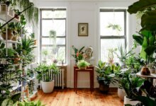 5 Tanaman Vas Minimalis Ini Bikin Sudut Rumah Kecil Terlihat Lebih Mewah