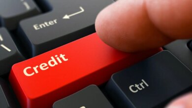 Kredit Himbara Mengalir ke Sektor Kunci, Manufaktur hingga UMKM Jadi Prioritas