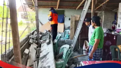 Gempa M 6,7 Sulteng Mengguncang, Mengapa Sesar Sausu dan Palolo Sama-Sama Disebut?