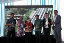 APL Resmikan PLTS Atap di Jawa Timur, Langkah Baru yang Mengubah Jejak Karbon Distribusi Kesehatan
