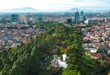 RTH Jakarta Baru 5,31 Persen, Mengapa Warga Kini Turun Tangan Kawal Taman Kota?
